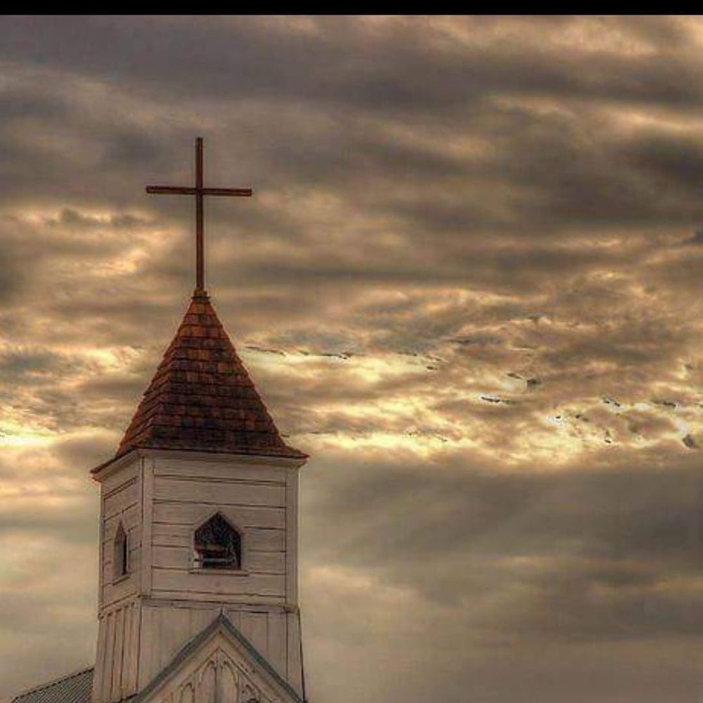 Meet your Posher, Terri